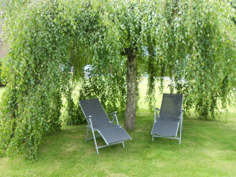 Blick in den Garten: Viel Grün - Viel Erholung! Blick in den Garten: Viel Grün - Viel Erholung!